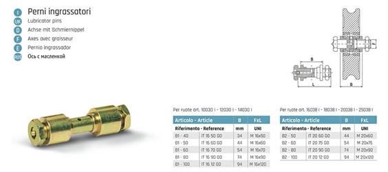PERNO INGRASSATORE ROLLING CENTER 20X75 B2-60 IT 2075 GO