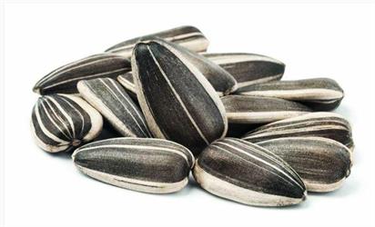 SEMI DI GIRASOLE STRIATO MEDIO KG.1