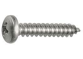 VITI AUTOFILETTANTI TESTA CILINDRICA 5,5X16 INOX DIN 7981(PZ.20)