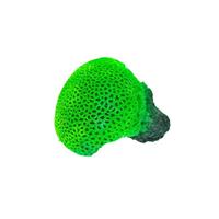 CORALLO IN RESINA SH9106-R 36X8X28 CM. PER ACQUARIO