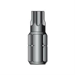 INSERTO MM.25 TORX 40  FM 01 40025  (PZ.2)
