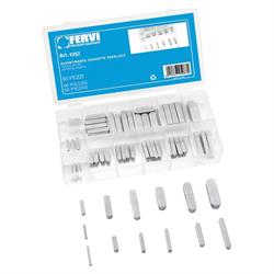 ASSORTIMENTO 60PZ. CHIAVETTE PARALLELE ART.0257