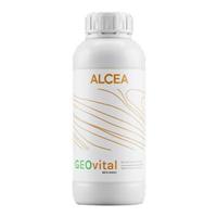 REVITALIZZANTE ALL'ACQUA TRASP. X LEGNO GEOVITAL LT.1,00