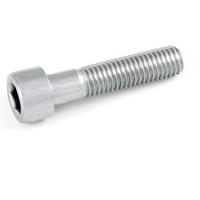 VITI TESTA CILINDRICA ESAGONO INCAS. UNI 5931 6X20 INOX (PZ.20)